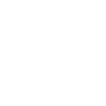 Transfer icon